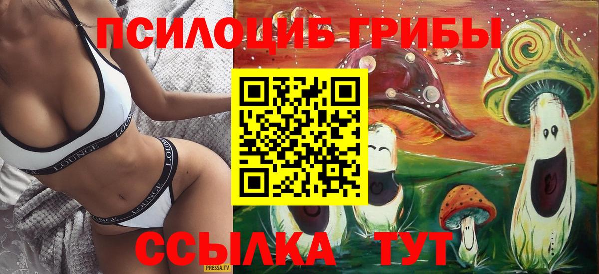 Псилоцибиновые грибы GOLDEN TEACHER Артёмовский