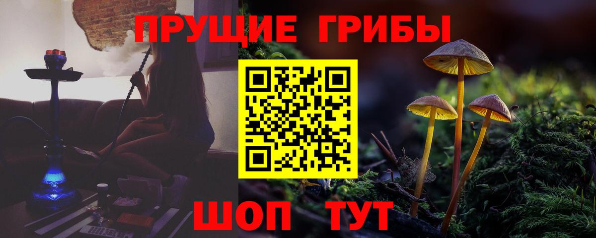 Псилоцибиновые грибы мицелий  Галлюциногенные грибы прущие грибы  Артёмовский  Вход с VPN 